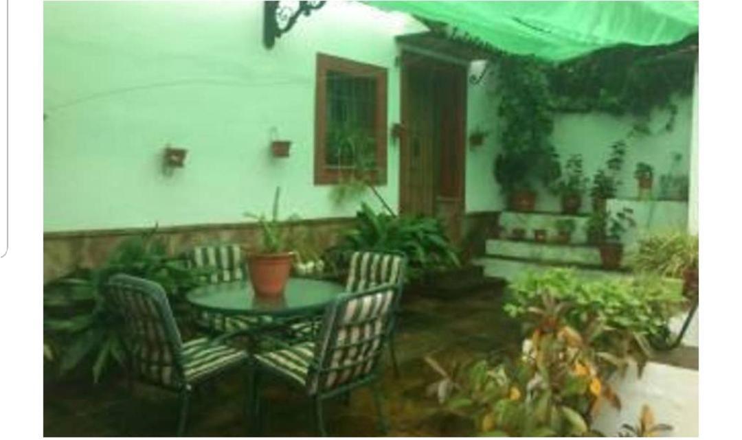 Apartamento En Cortijo Totalmente Reformado En Pleno Paraje Natural Junto Al Caminito Del Rey Y Los Sectores Mas Importantes De Escalada A Solo 2 Minutos De La Estacion De Tren 埃尔乔罗 外观 照片